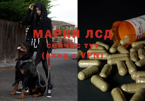 наркотики Абаза