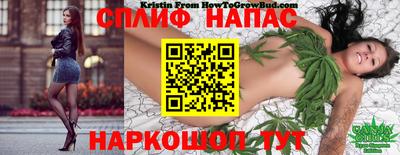 гидропоника Ярославль