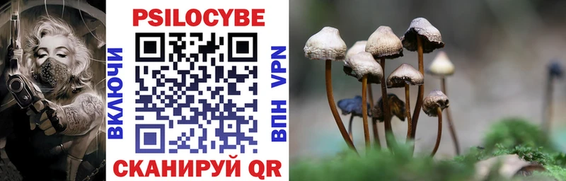 где найти наркотики  Алатырь  Псилоцибиновые грибы GOLDEN TEACHER 