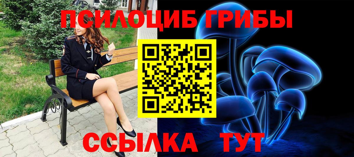 Алатырь  Галлюциногенные грибы Psilocybine cubensis  Псилоцибиновые грибы ЛСД  Вход с VPN 
